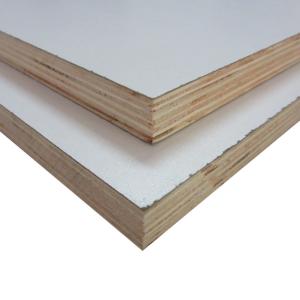 China High Gloss 20mm White Faced Plywood For Furniture factory