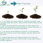 80% Enzymatic Hydrolysis Process Amino Acid Organic Nitrogen 16-0-0 Foliar