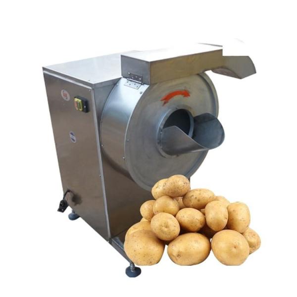 Turnip Green Onion Cutting Automatic Food Processing Machine Potato Chips