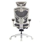 2022 GTCHAIR IVINO X High-end Mesh Swivel Office Chair with Polished Aluminum