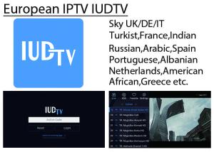 China IUDTV Europe IPTV Italy Germany UK Turkish Indian African Channels Support APK Enigma2 Mag25X M3U factory