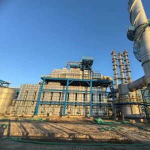 Automatic Control Regenerative Catalytic Oxidizer Wide Application Range