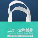 Supermarket PP Non Woven Grocery Bags 50Gsm Eco Friendly