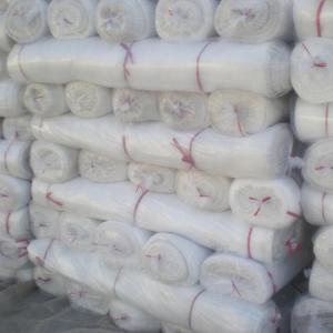 China agricultural HDPE anti-insect net for greenhouse vegetables fruit protection insect/bird net 40mesh factory
