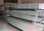 Electric Galvanized 128 Chickens Poultry Cage For Laying Hens , Battery Caged