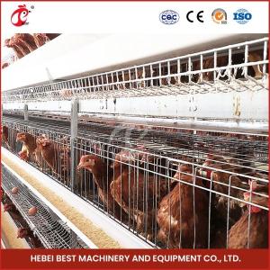 China 80-100kg Cage Weight H Shaped Automatic Chicken Chick Cage Automatic Chicken Cage Rose Rose For Layers Rose factory