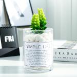 Nordic Ins Green Artificial Succulent Plant Plastic Fleshy Small Potted Decorate