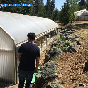 China Fully Automatic Light Deprivation Curtain Blackout System Greenhouse on sale