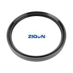 1678039 279576 291076 Rubber Oil Seals