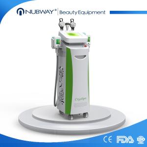 China Vertical fashionable cryolipolisis slimming machine with 5 handles factory