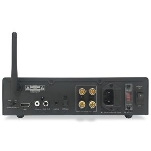 2 Channel 100W*2 Bluetooth V5.0 Audio Amplifier with Hi-Fi DAC Chip for Home