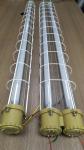 Explosion Proof T8 LED Lamp 2*18W 36W 2*20W 40W For Hazardous Area