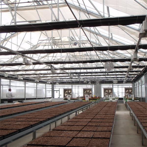 US Market Blackout Light Deprivation Tunnel Greenhouse Agriculture Single-Span
