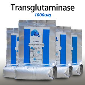 Grilled Intestine Adhesive Transglutaminase Enzyme Providing Enzyme Preparation