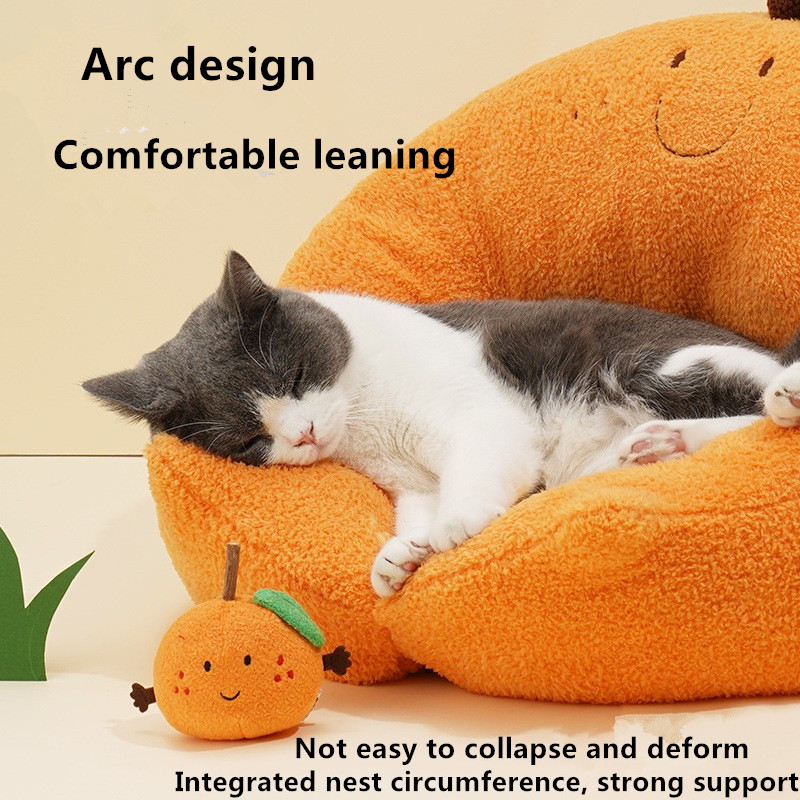 orange cat bed