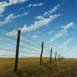 10/12/12.5/14 Gauge 2 Point Barbed Wire Security Fence Black Galvanized