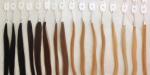 20 CM Hair Color Wheel / Colour Ring, 8" 32 Popular Colors Human Hair Color