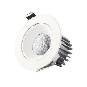 China High Temperature Resistance Ceiling LED Downlight 12W Power Consumption 5000K factory