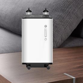 China Medical 10L Mute Portable Oxygen Concentrator Specially Designed For People factory