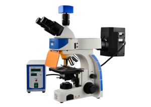 China Professional Trinocular Upright Fluorescence Microscope 100W Mercury Lamp factory