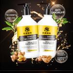 Anti Dandruff Cream Type Ginger Oil Shampoo And Conditioner For Men Women Use