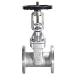 304 Stainless Steel Soft Seal Flange Gate Valve Z41X-16P for Water Pump Fire
