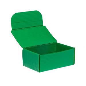 China Green Corrugated Plastic Turnover Box Correx Packaging Boxes factory