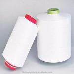 Raw White High Tenacity Polyester Sewing Thread 300D/2 For Leather Product