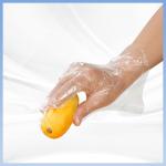 High Stability Transparent Disposable PE Gloves In Catering Kitchen