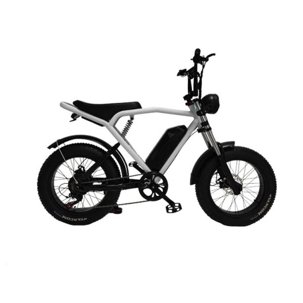 Fast Electric Dirt Bike Mountain City Road EBike With Mechanical Disc Brake In