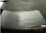 A304 stainless Steel Perforated Metal Sheet for Decoration/filration/celling