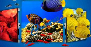 China Rgb SMD2727 1000cd/Sqm Stage Led Screen 250W for Advertising factory