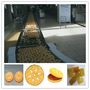 China industrial biscuit producation line factory