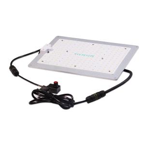 China 2.7gumol/S/W 150W LED Flowering Grow Lights factory