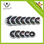 Chromed Cast Iron Weight Lifting Plates , Standard Weight Plates With Rubber
