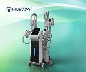 China 4 handles fat removal cryolipolysis body slimming machine factory