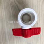 Plastic 1/2 prime prime Butterfly Handle PVC White Ball Valve with Blow-Down