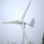 Horizontal 96V Residential Wind Turbine Wind Electric Generator