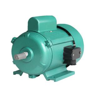 One Capacitor Start Single Phase Induction Motor For Refrigerators 4 Pole JY