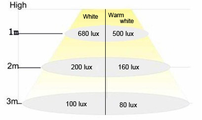 LED Penguin Type 30w led flood light with CE RoHS IP65