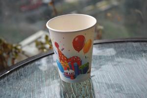 China Disposable Paper Cups factory