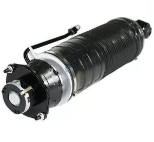 China R230 Rear LH RH Hydropneumatic ABC Shock Absorber For Mercedes SL Class 2303200013 factory