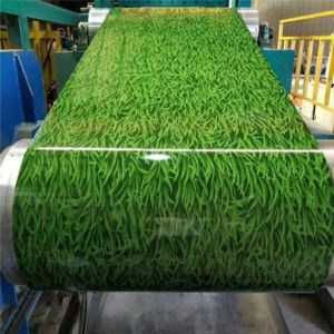 China Printed Ppgi Steel Coil Customized With Special Patterns factory