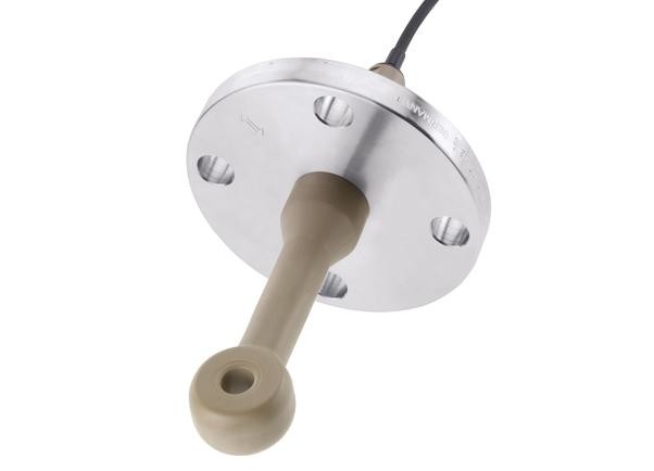 PEEK PFA Digital conductivity sensor Endress Hauser Indumax CLS50D-AA3B21
