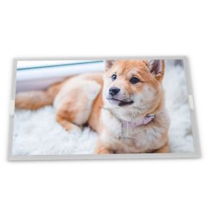 LB040Q02-TD05 Touch Screen 4.0 Inch LCD Module with 320*240 Resolution LCD Screen Panel