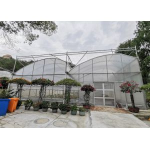 Excellent Natural Ventilation Sawtooth Greenhouse With Hot Dipped Galvanized