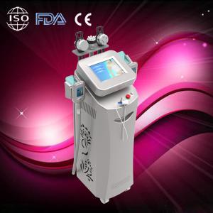China 2014 september 5 handles fast weight loss Fat Freezing Machine cryolipolysis factory