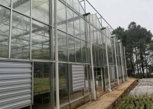 China 8 Meters Single Span Greenhouse With Irrigation Heater Systems For Winter factory