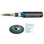Singlemode Multimode Fiber Optic Cable GYTA53 12 24 48 64 96 Core For Communicat