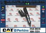 Common Rail Fuel Injector 253-0614 10R-0958 10R-0955 10R-7228 10R-7232 10R-1273